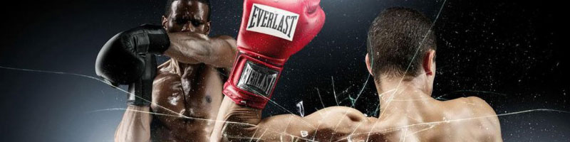 Corsi di Pugilato e Boxe a Moncalieri Torino