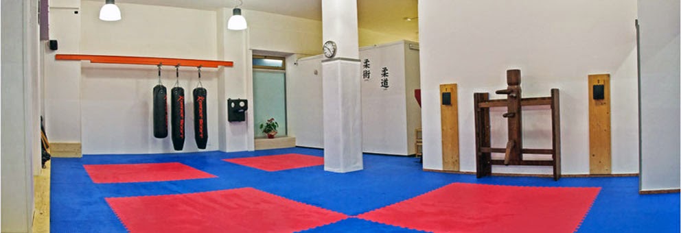 Sala Tatami Kombat Sport Moncalieri